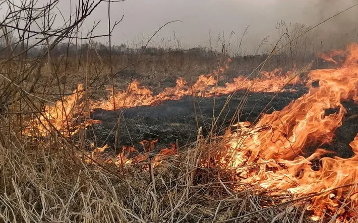 В весенне-летний пожароопасный период года, в округе резко увеличивается количество пожаров