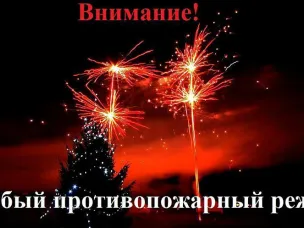 С 25 декабря 2025 года по 11 января 2026 года в Нижегородской области в связи с предстоящими новогодними каникулами и в целях обеспечения пожарной безопасности установлен особый противопожарный режим