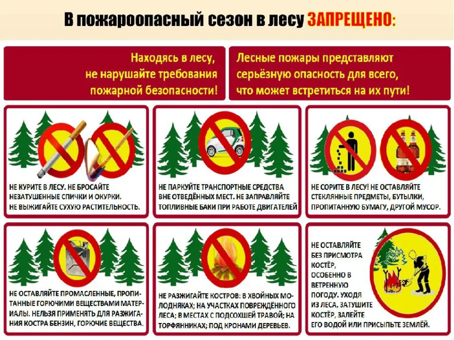 О соблюдении правил пожарной безопасности в лесах