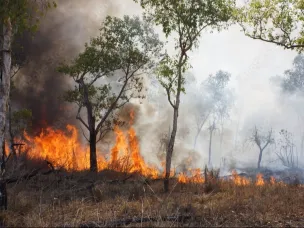 Внимание! весенне-летний пожароопасный период!