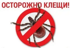 Об эпидемиологической ситуации по инфекциям, передающимися клещами