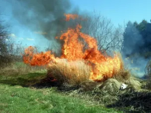 Информация Главного управления МЧС России по Нижегородской области