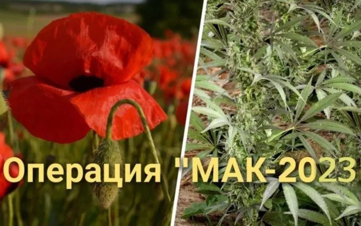 Стартовал второй этап оперативно-профилактической операции «Мак – 2023»