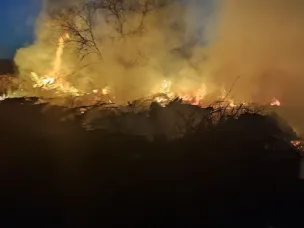 Опасная статистика: в Нижегородской области резко выросло число природных пожаров